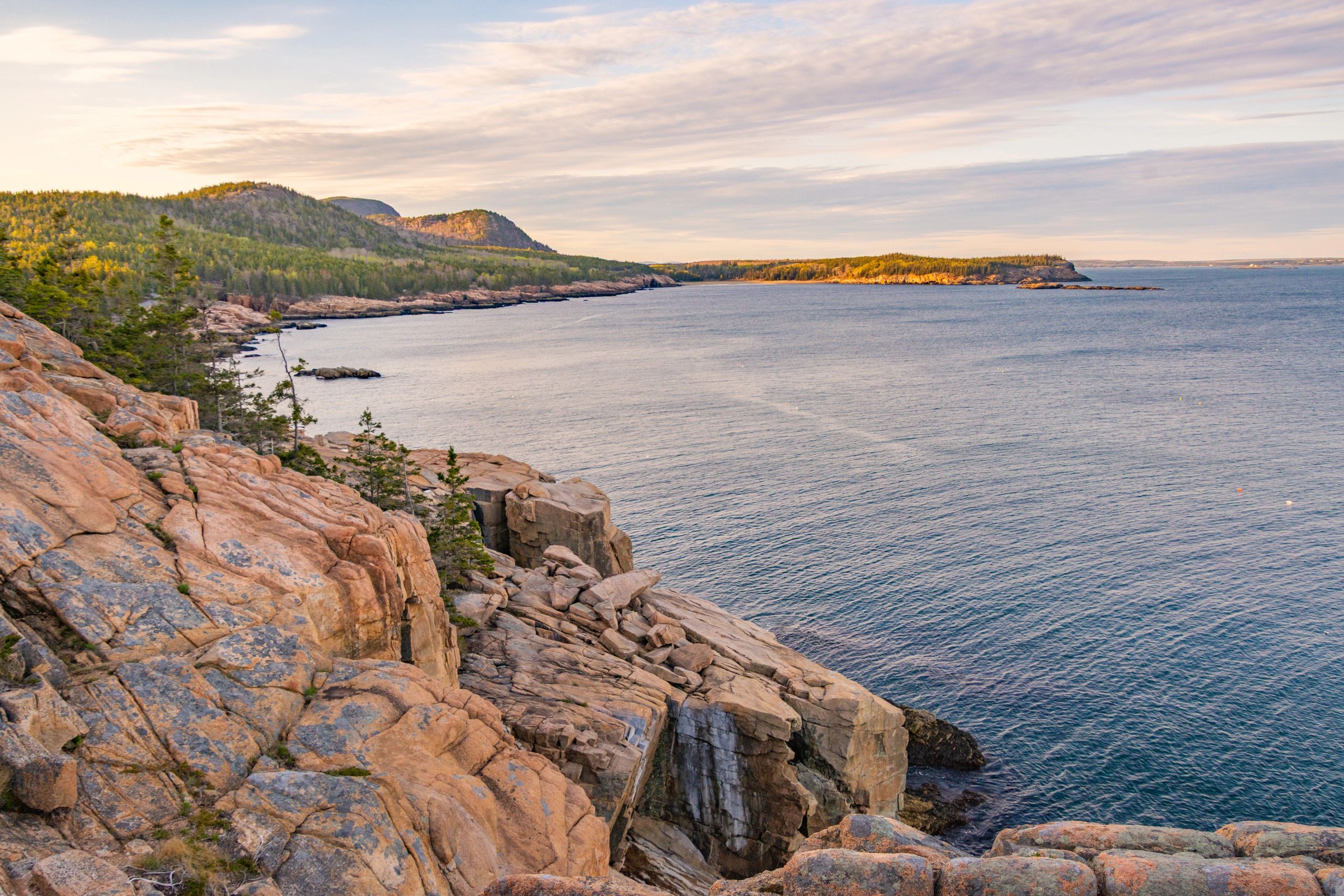 Rocky coastline with pine trees and calm ocean.