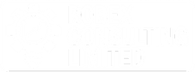 Robex Consulting ltd