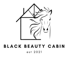 BLACK BEAUTY CABIN
Broken Bow, OK 