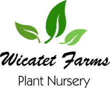 Wicatet Farms Plant Nursery