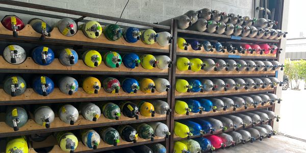 Scuba cylinders available for rental at dive shop