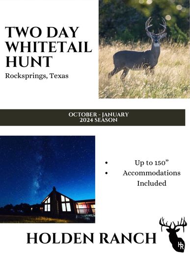 Axis Deer Hunt in auction