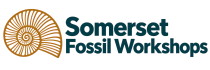 Somerset Fossil Workshops