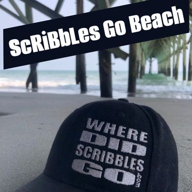 Scribbles go beach myrtle beach rescue adopt foster 