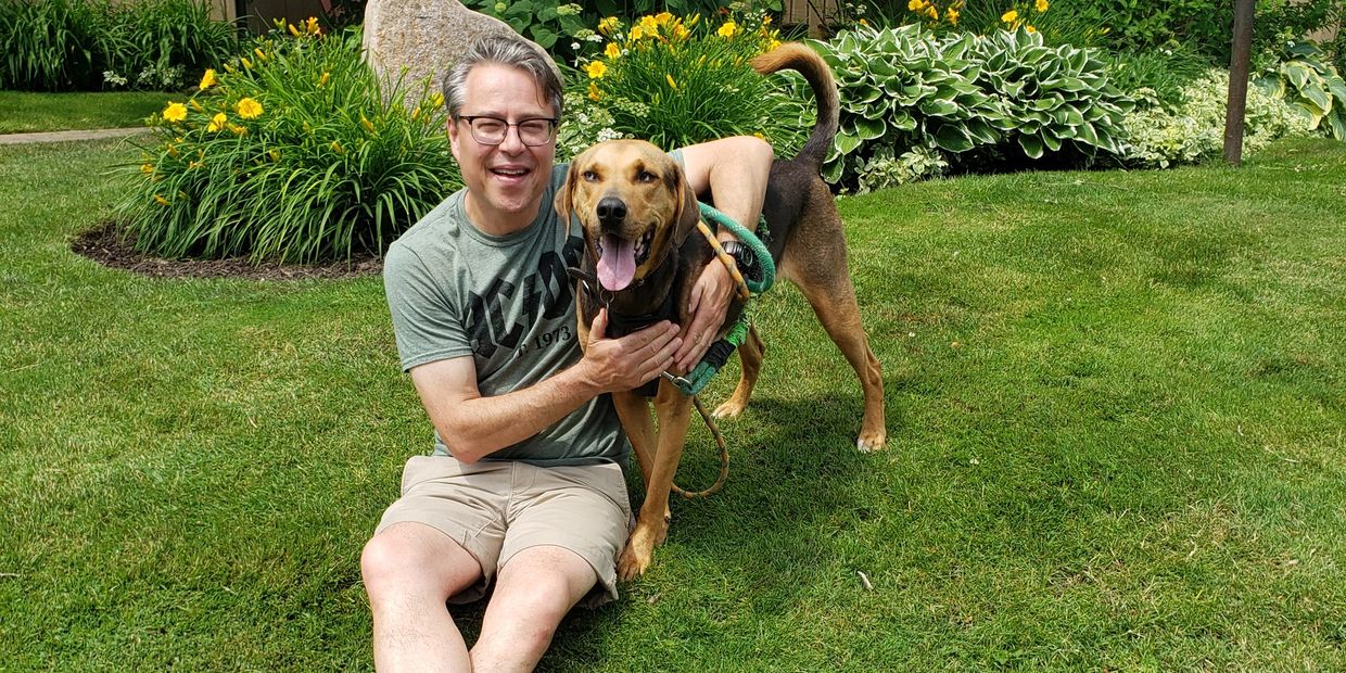 Geoffrey Hancock, professional dog trainer in Collingwood, working on obedience training.