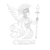 Corporate Business Development Solutions