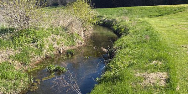 A narrow creek flows gently through lush green grass and bushes on a sunny day.