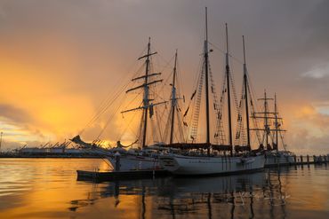 San Pedro, California. Majestic sailboats during a golden sunset in the Port of Los Angeles.
