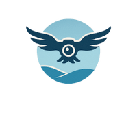 Aerial Video Tours