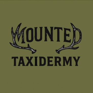 Logo with antlers and text 'Mounted Taxidermy' on olive background.