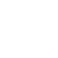 OFFICIAL POLLY HAYNES WEBSITE