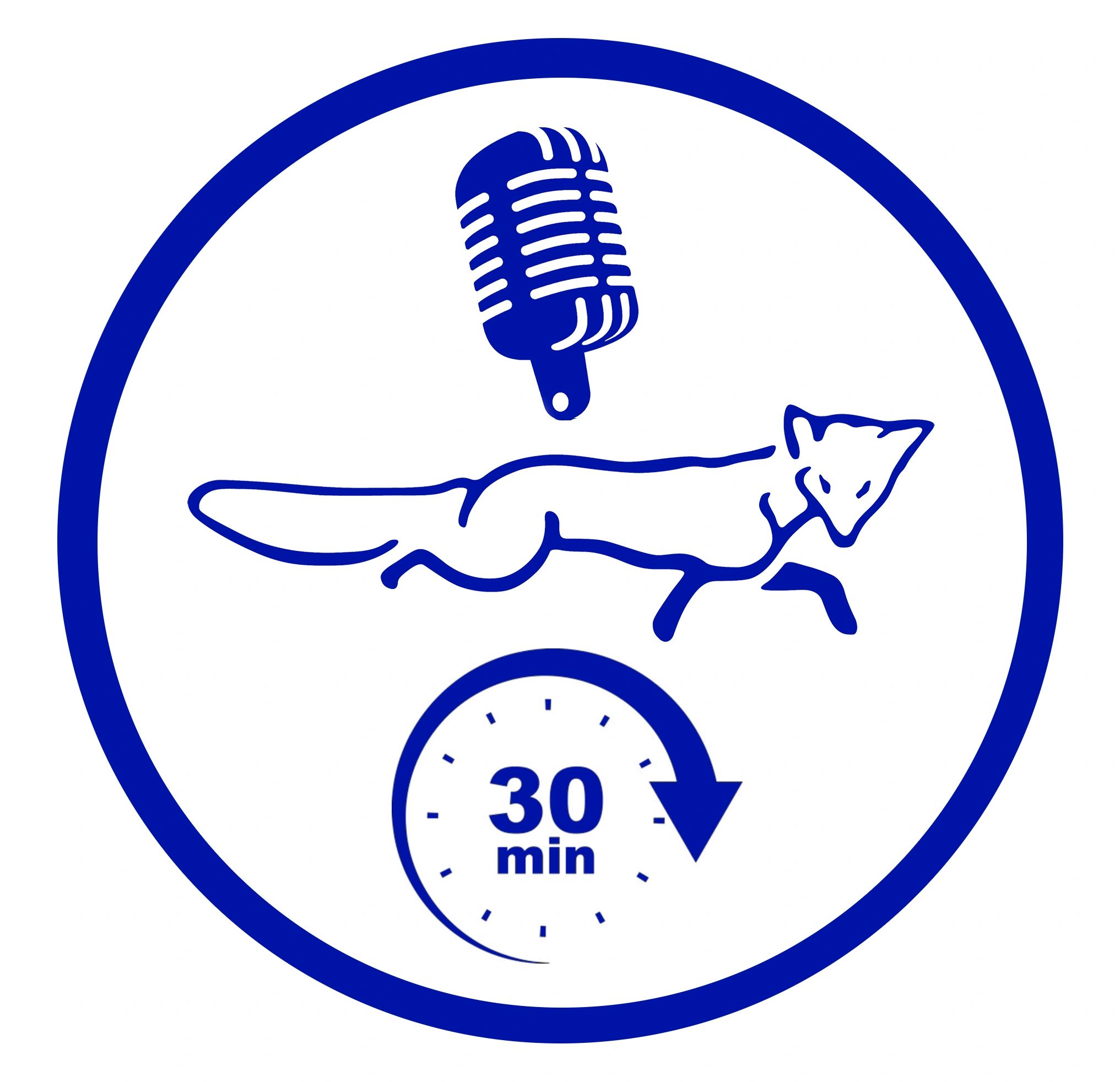 For Fox Sake Podcast, Your Leicester City Podcast.