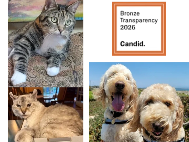 These are Wendy's (our Treasurer) cats and dogs
