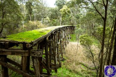Trestle Bridge at Koetong