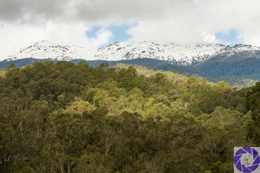 Snowy Mountains from Geehi