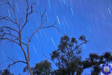 Star Trails at Eildon Lakes