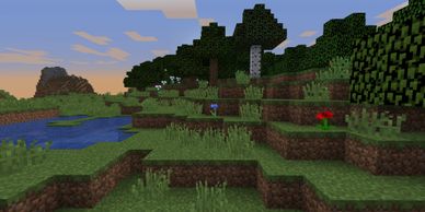 image1052