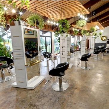 Modern salon with black chairs, large mirrors, and hanging plants creating a fresh, airy atmosphere.
