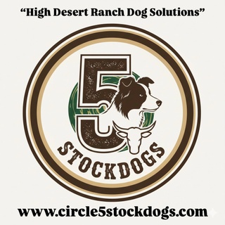 Circle 5 Stockdogs