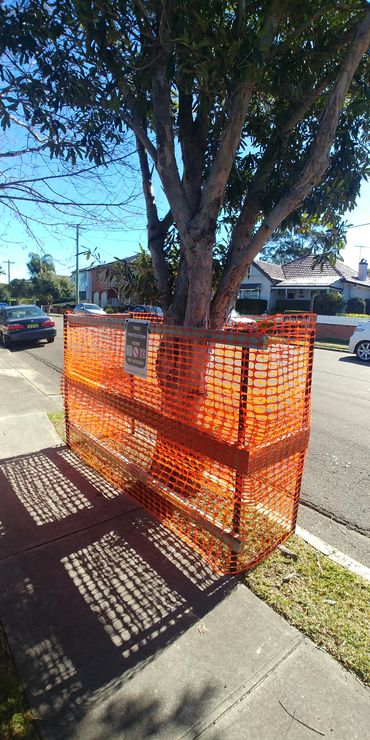 Tree Protection Fencing with limited space