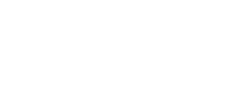 Silver Spoon Labs