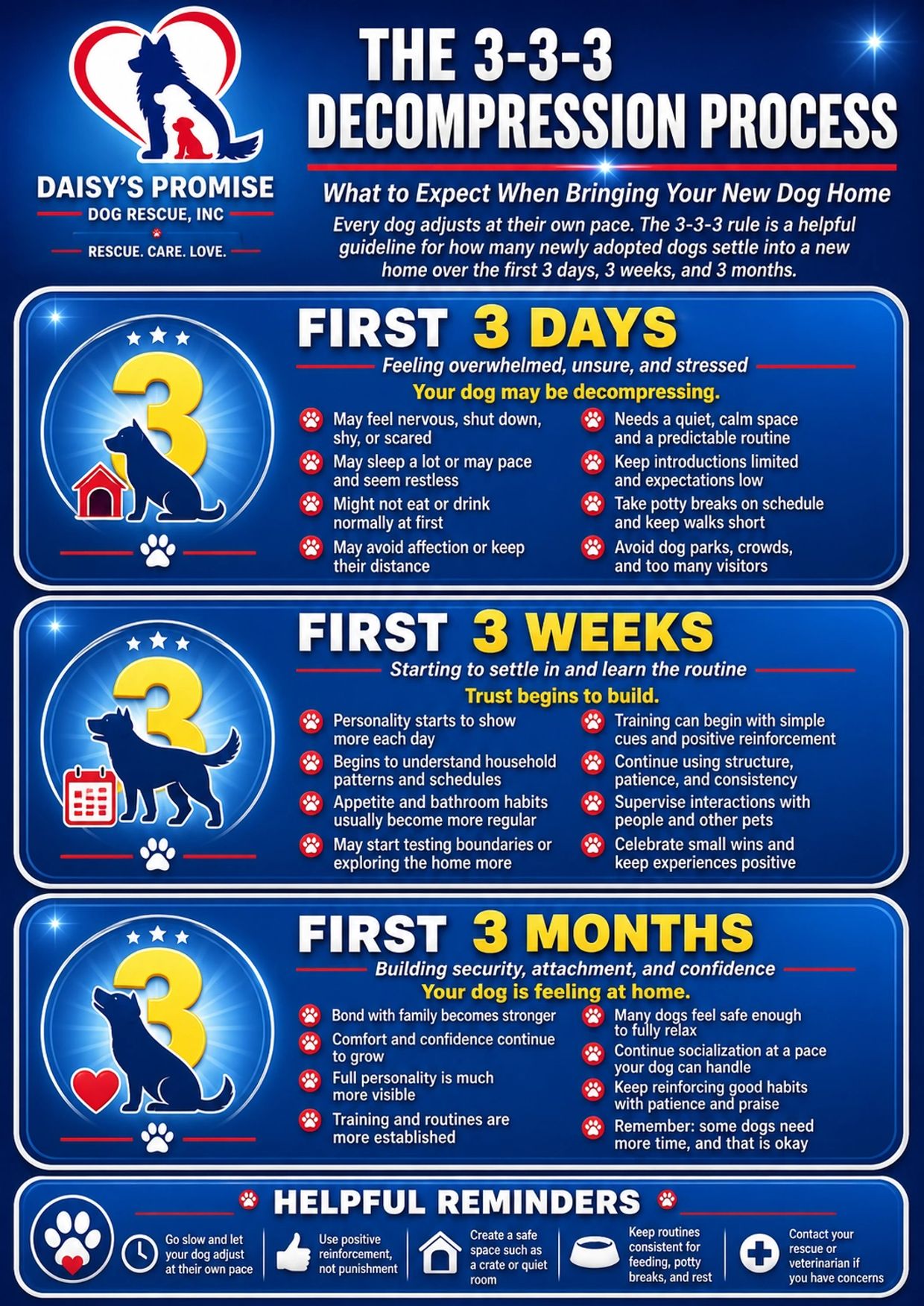 Guide to the 3-3-3 decompression process for newly adopted dogs to settle in over 3 days, weeks, and months.