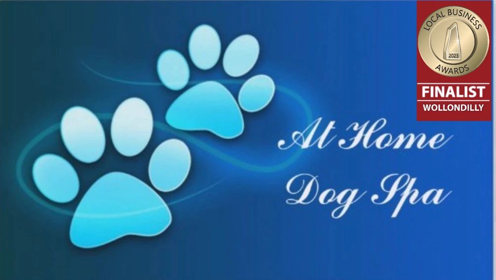 dog-grooming-at-home-dog-spa