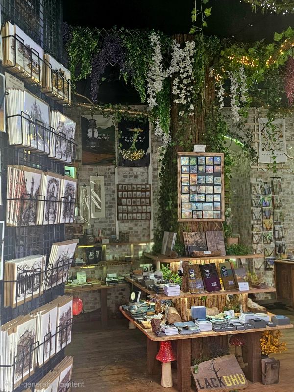 Cozy shop corner with stationery and postcards, decorated with hanging flowers and greenery.
