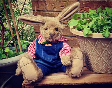 Handmade mohair bear (Grandpa Hare) in the veggie patch stealing my lettuce!