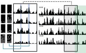 DNA methylation changes. Cardiomyocyte Differentiation. Tompkins et al, 2016