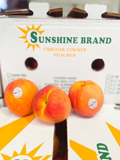 Chilton County peaches
Alabama peach
Peach
Peaches
Order peaches
Shop online