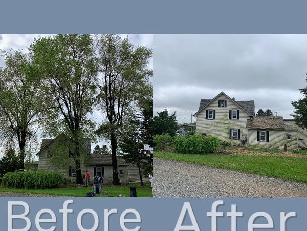 Large Tree Removal