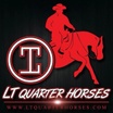 LT QUARTER HORSES