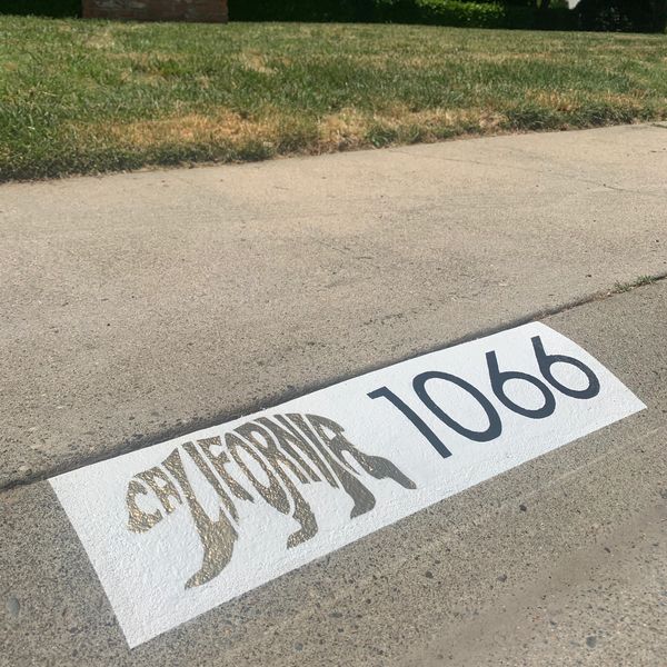 Curb Painting 