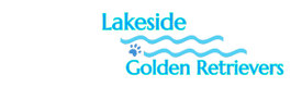 Lakeside Golden Retrievers