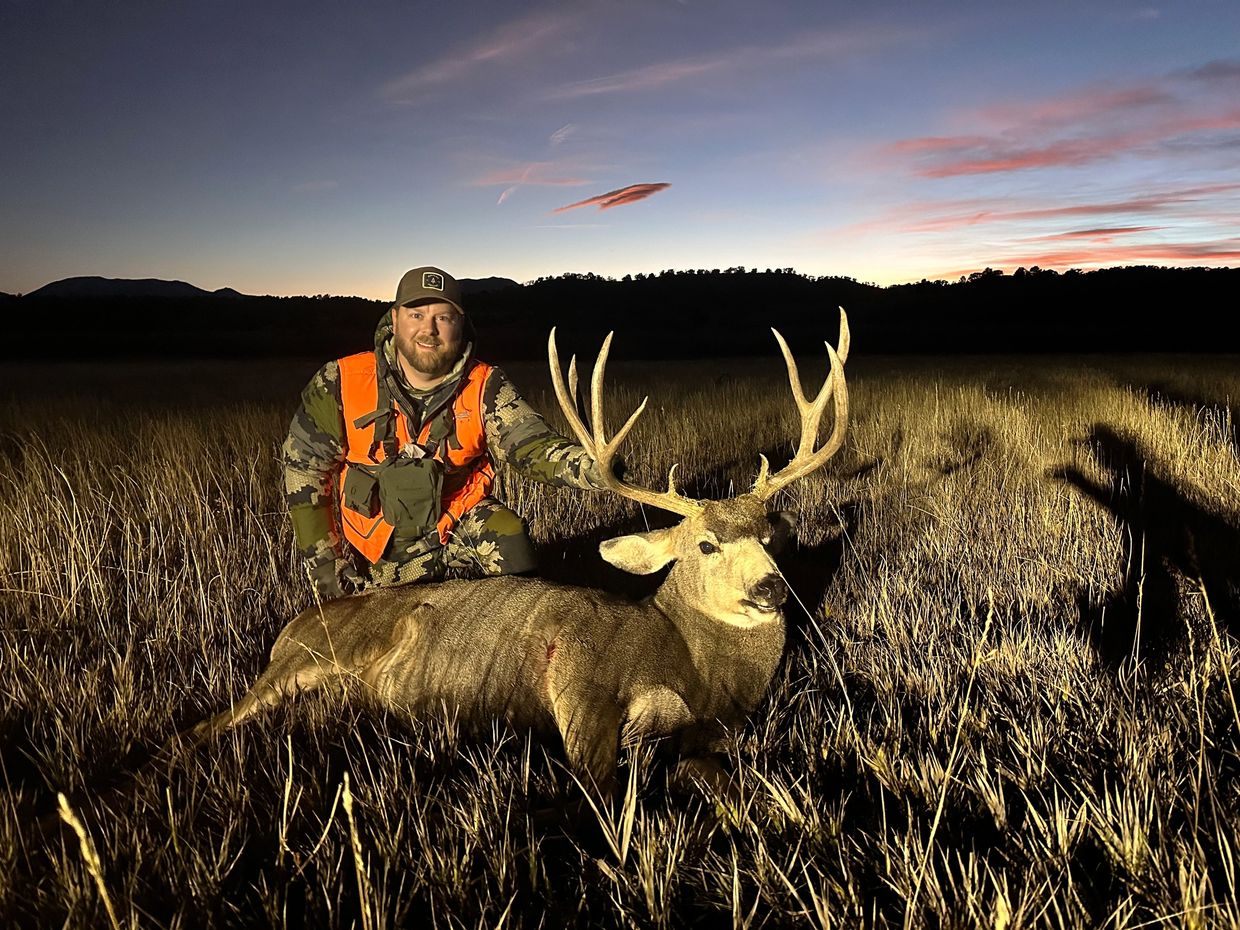 Mule Deer | Dry Creek Ranch
