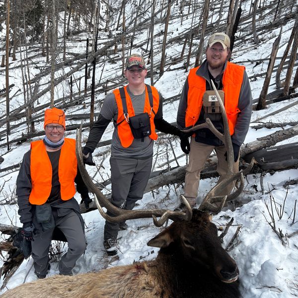 Three hunters in orange vests posing with a large elk in snowy forest.