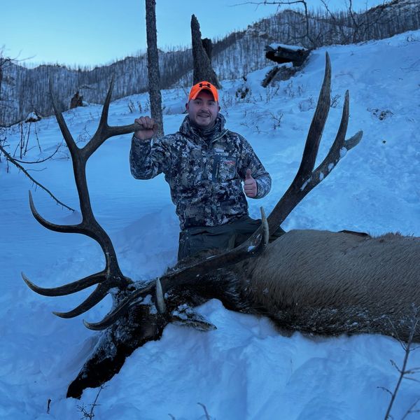 Hunter posing with a large elk in snowy terrain at dusk.
