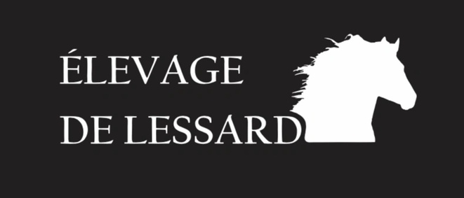 Vivez l'expérience mini!
l'activité  éducative et interactive ❤️