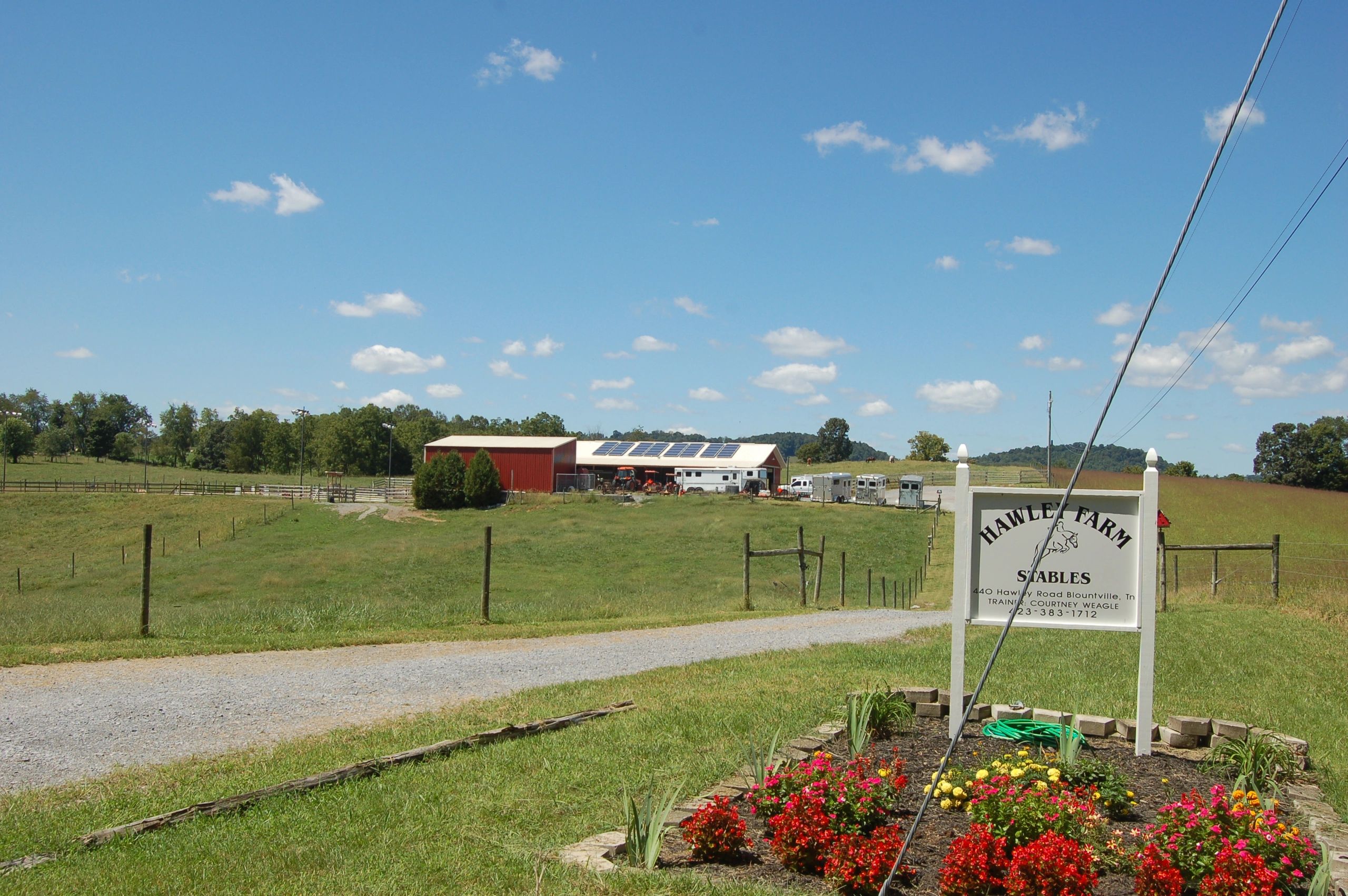 Where to Ride Horses Near Me Exploring Local Trails and Communities