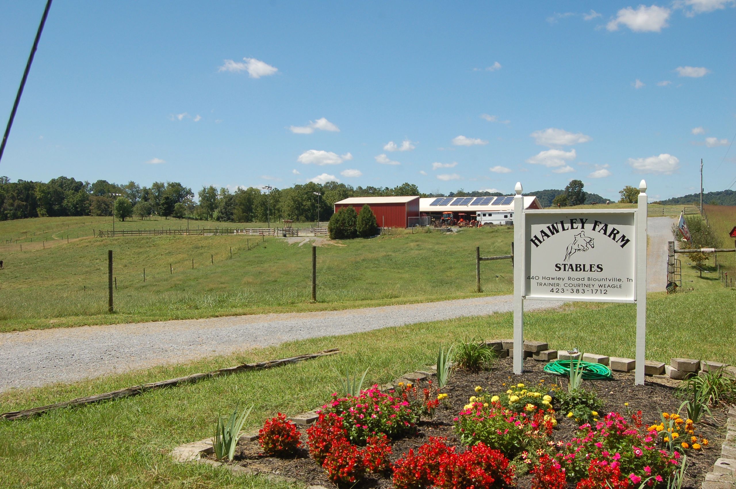 Hawley Farm Stables Horse Riding, Equestrian, Horse Boarding