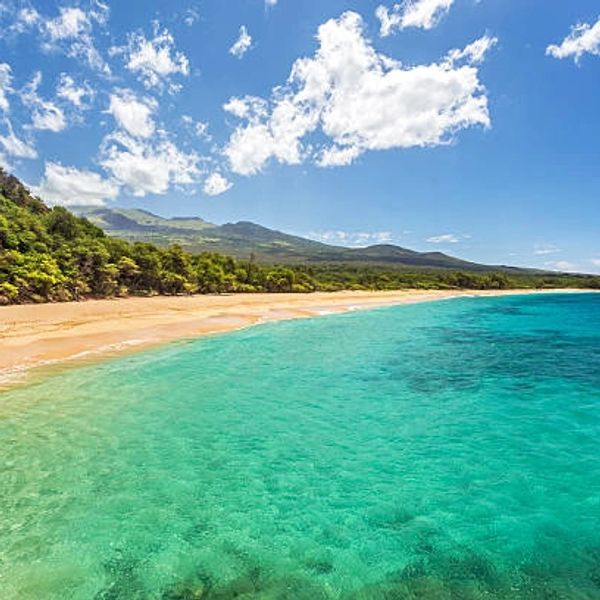 Clear turquoise water meeting a sandy beach under a sunny sky.
