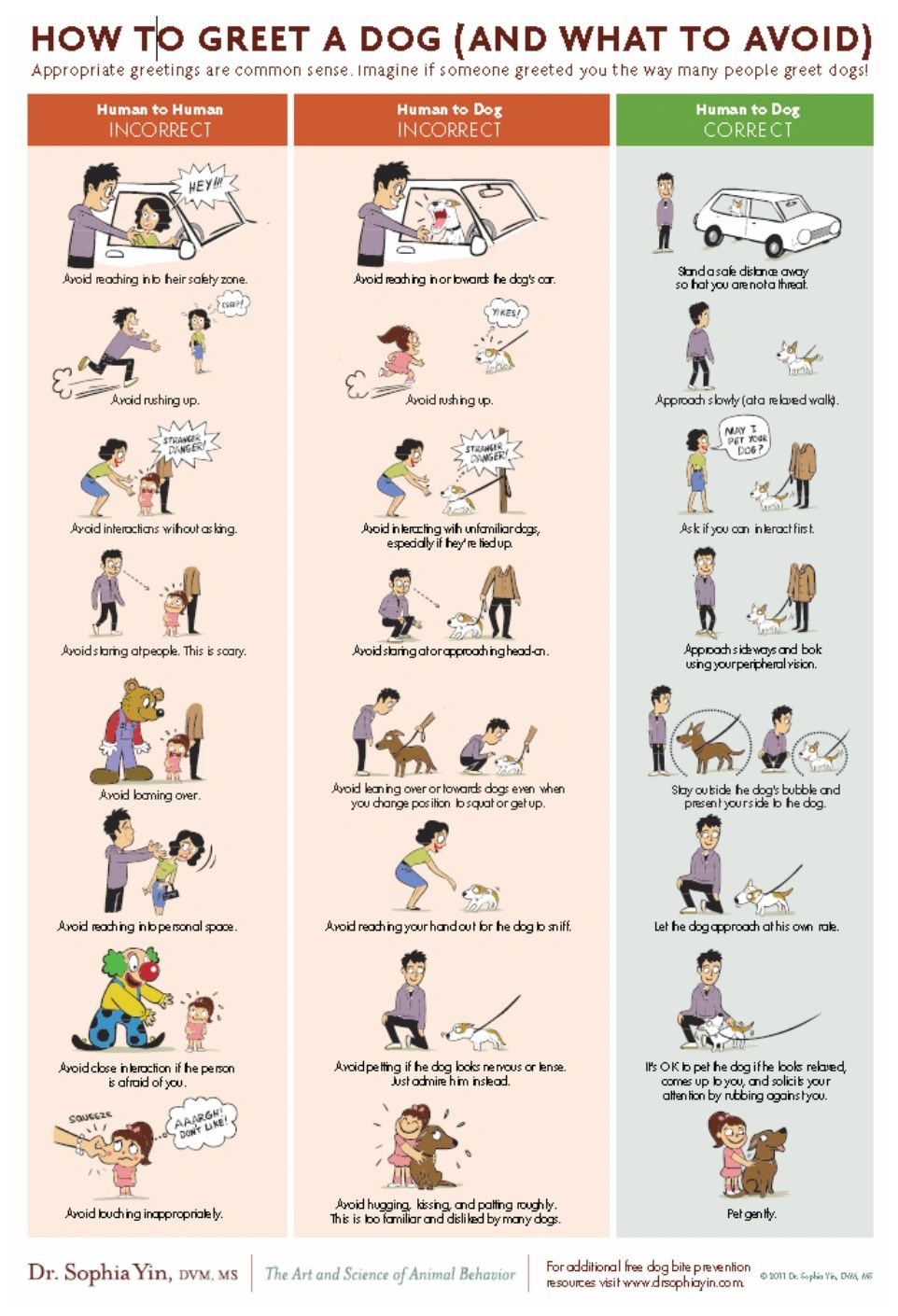 Guide on greeting dogs safely, showing incorrect and correct ways.