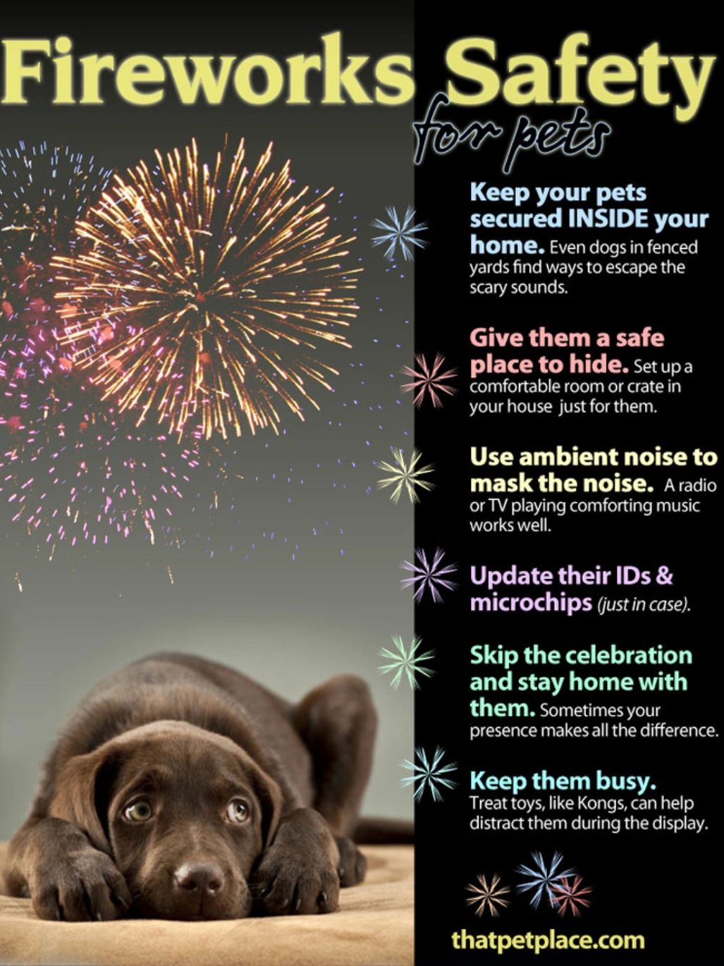 Fireworks safety tips for pets to keep them calm and secure indoors.