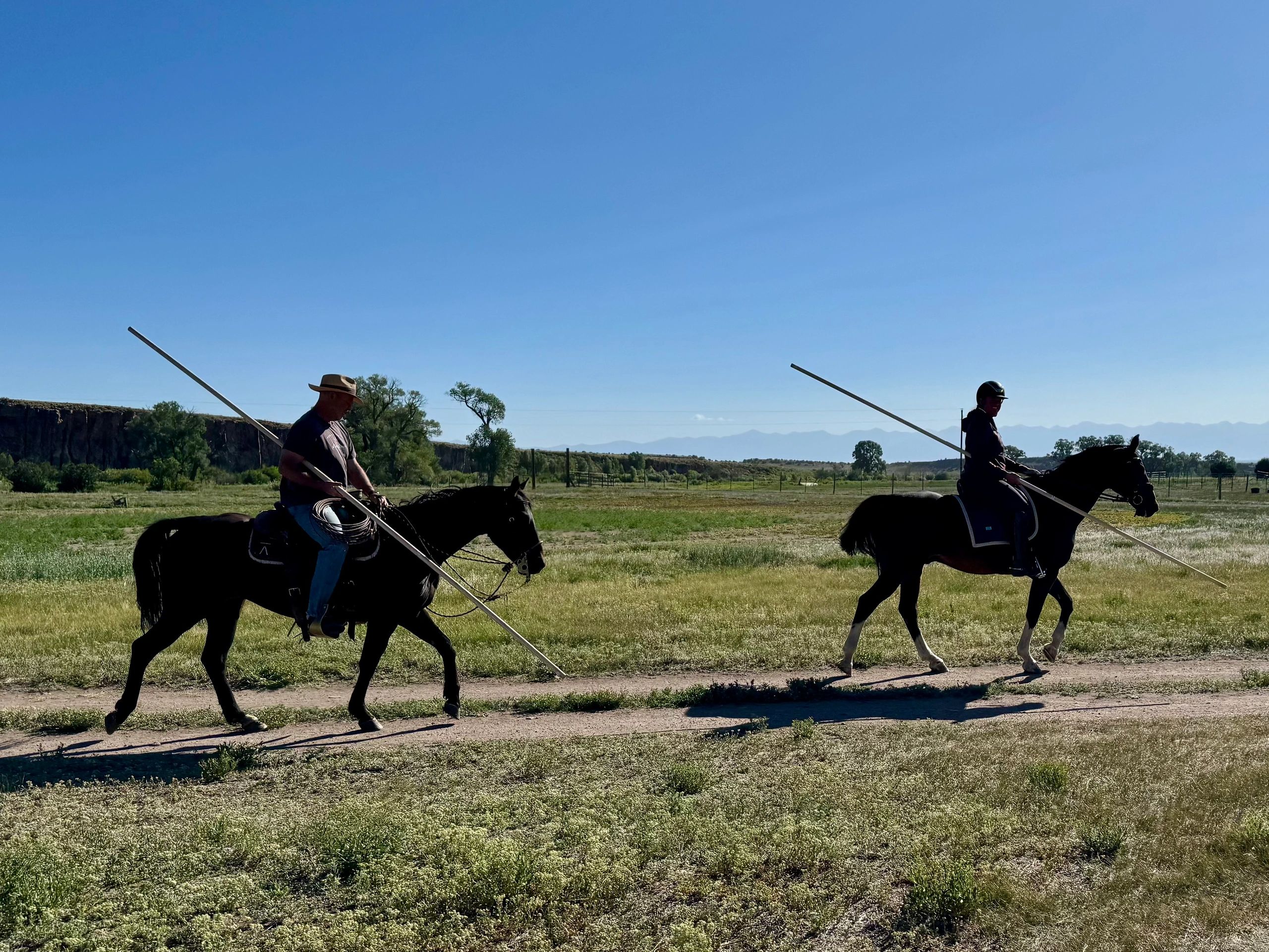 //img1.wsimg.com/isteam/ip/105aa80b-b2b3-428b-a547-737341921a92/FullSizeRender.jpeg/:/rs=w:1300,h:800