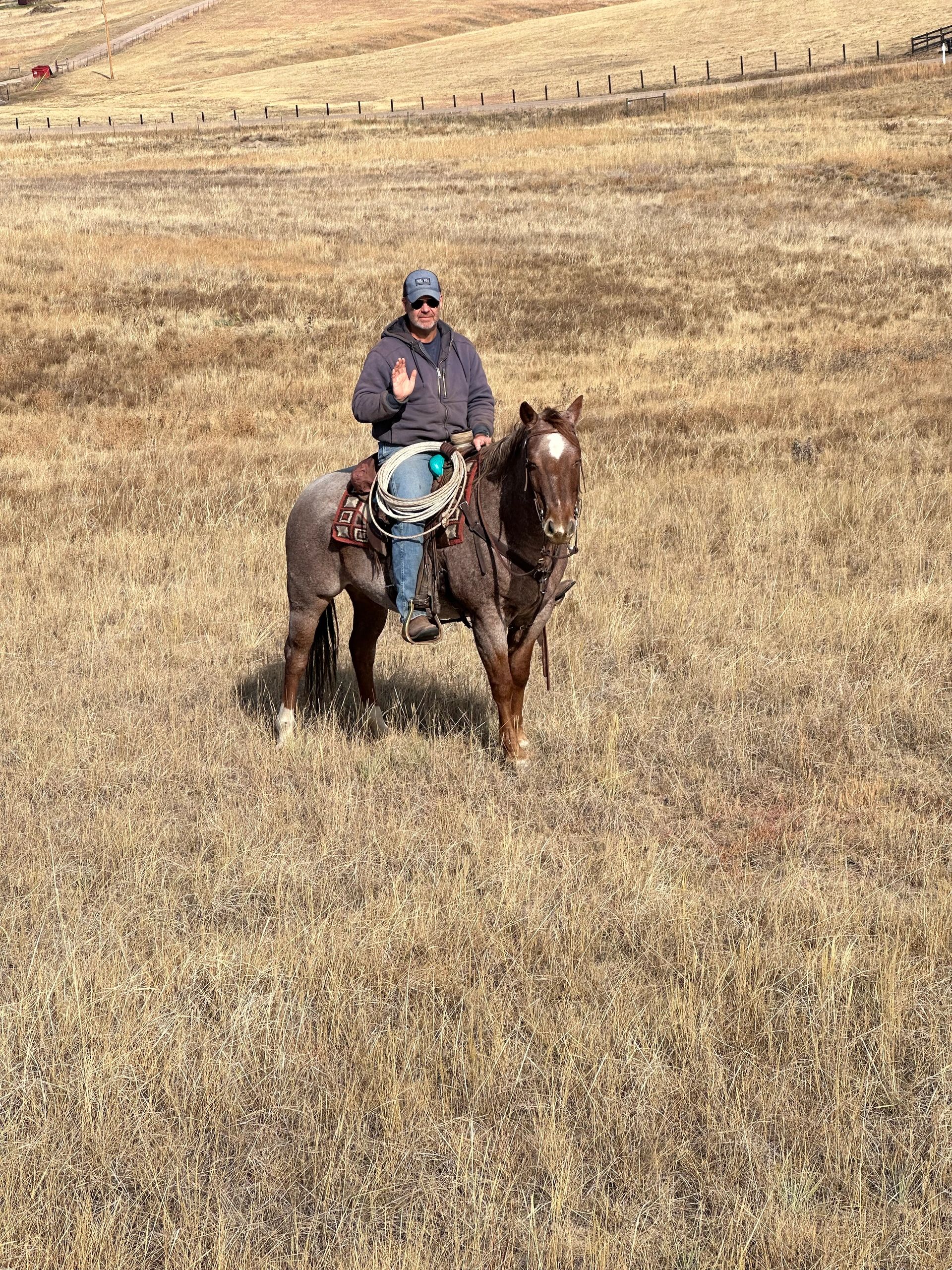 //img1.wsimg.com/isteam/ip/105aa80b-b2b3-428b-a547-737341921a92/IMG_3943.jpeg/:/rs=w:1300,h:800