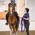 beginner horse riding lesson