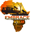 Embrace African Tours