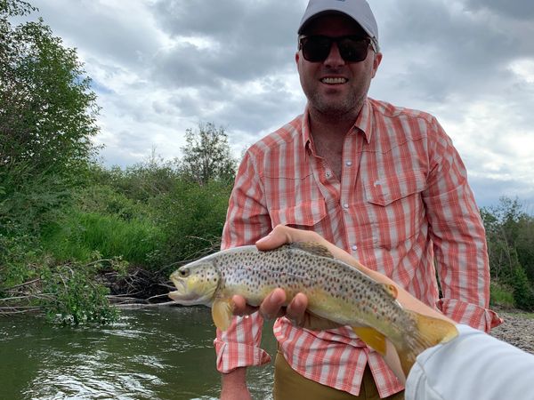 14’ Wild brown from Chama New Mexico! 