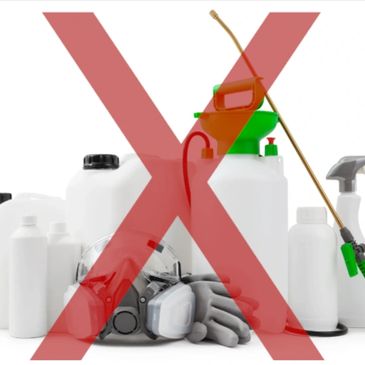 Various chemical containers and protective gear marked with a large red X.